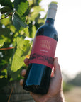 A hand holding a bottle of Blind Corner Bernard - Organic and Biodynamic Preservative Free Margaret River Cabernet against a semi-blurred vineyard background