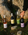 A person places four different bottles of Blind Corner Organic wine on a moss covered ground at sunset