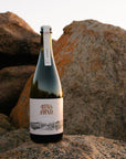 Blind Corner Organic and Biodynamic Margaret River Cremant bottle on a rock at the beach