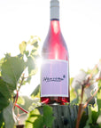 Blind Corner Organic and Biodynamic Margaret River Nouveau on a fence post, nestled amongst the vines