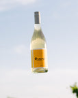 Blind Corner Organic and Biodynamic Margaret River Orange* in Colour Skin Contact Blend against the sky
