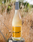 Blind Corner Organic and Biodynamic Margaret River Orange* in Colour Skin Contact Blend sits on a fence post amongst long,dry grass