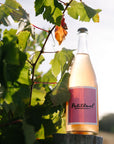 Blind Corner Organic and Biodynamic Margaret River Petillant bottle on a fence post, nestled amongst the vines