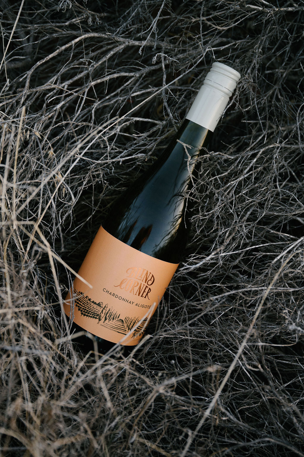 Blind Corner 2023 Organic Chardonnay Aligoté