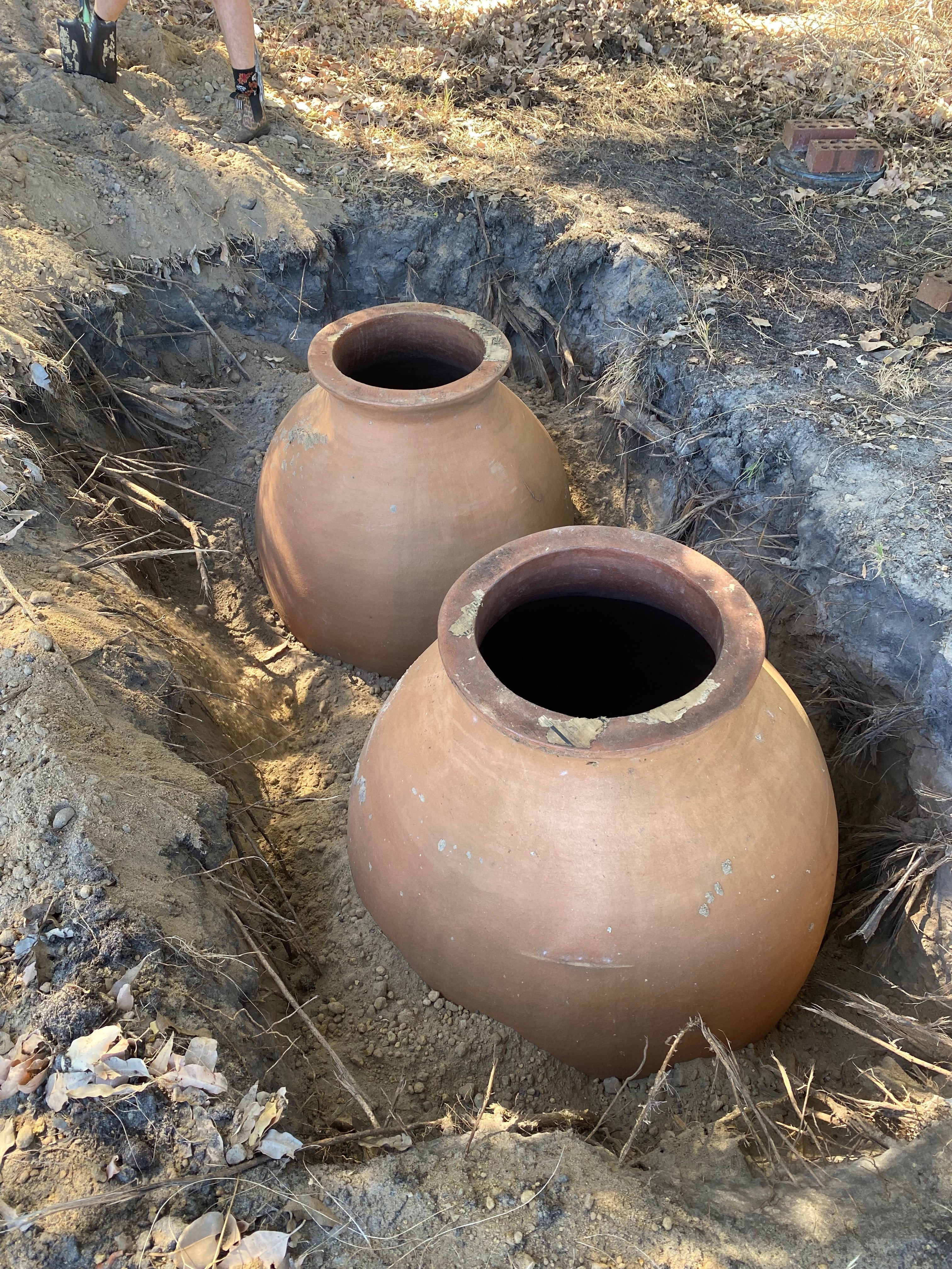 Organic Chenin Blanc buried underground in Georgian Qvervi in Margaret River