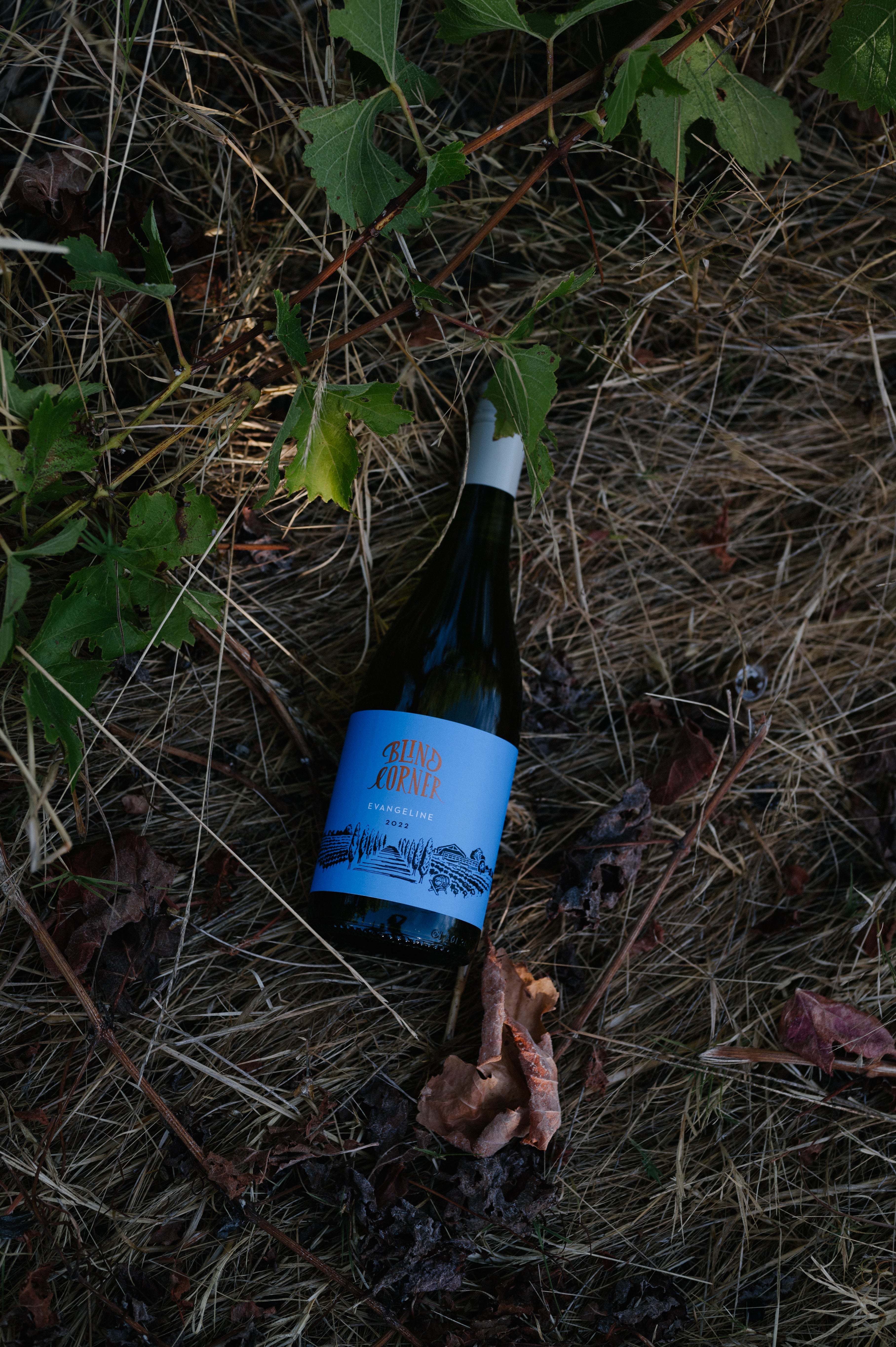 PRESERVATIVE FREE WINE