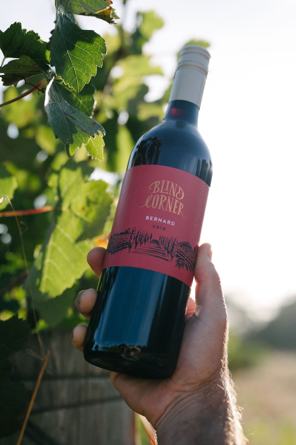 A hand holding a bottle of Blind Corner Bernard - Organic and Biodynamic Preservative Free Margaret River Cabernet against a semi-blurred vineyard background 