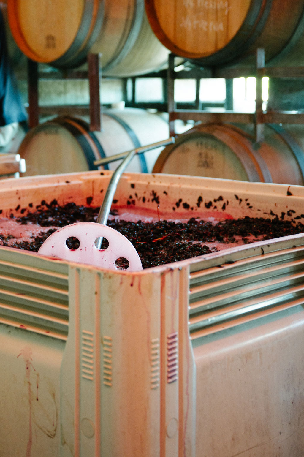 Blind Corner Bernard - Organic and Biodynamic Preservative Free Margaret River Cabernet during fermentation. A hand-plunger rests across the skins