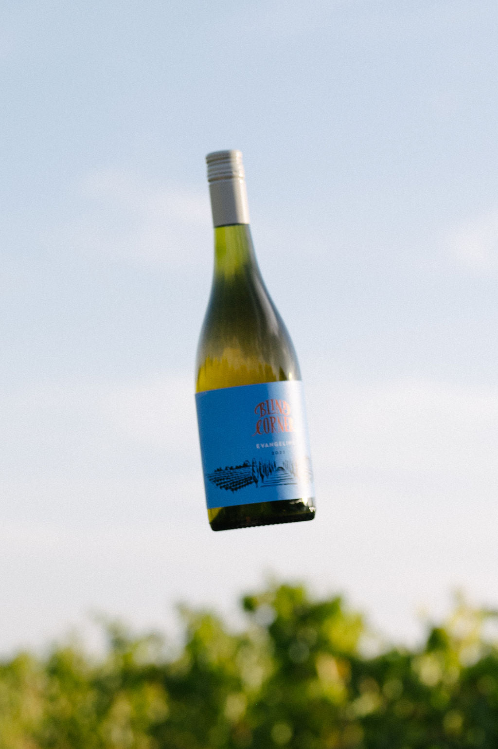 Blind Corner Evangeline -  Organic and Biodynamic Preservative Free Margaret River Chenin Blanc against the sky