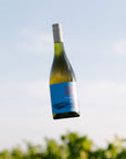 Blind Corner Evangeline -  Organic and Biodynamic Preservative Free Margaret River Chenin Blanc against the sky