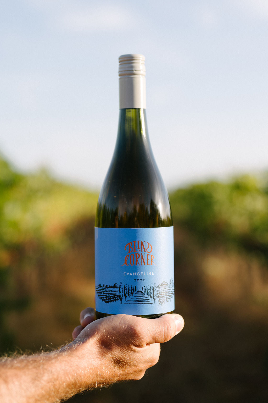 Blind Corner Evangeline -  Organic and Biodynamic Preservative Free Margaret River Chenin Blanc bottle held in hand with blurred vineyard background