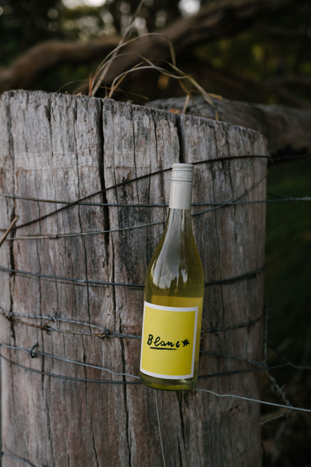 Bottle of Blind Corner Organic and biodynamic Blanc, from Margaret River, leaning on a fence post