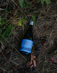 A bottle of Blind Corner's Georgian Qvevri-fermented, preservative free, organic Chenin Blanc called 'Evangeline' rests in dried grasses beneath a vine