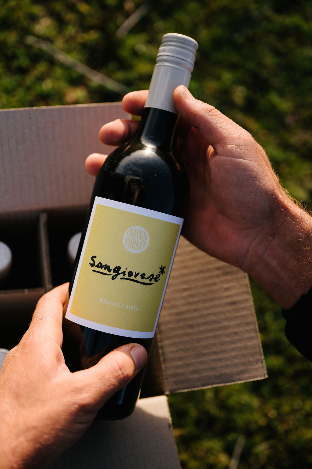 Person holding a bottle of Organic Sangiovese wine with the Blind Corner Wine Club 4-pack box in the background