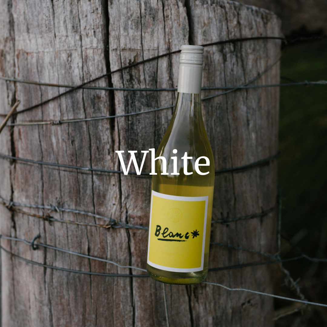Bottle of white wine with a yellow label against a rustic wooden background and 'White' overlayed text