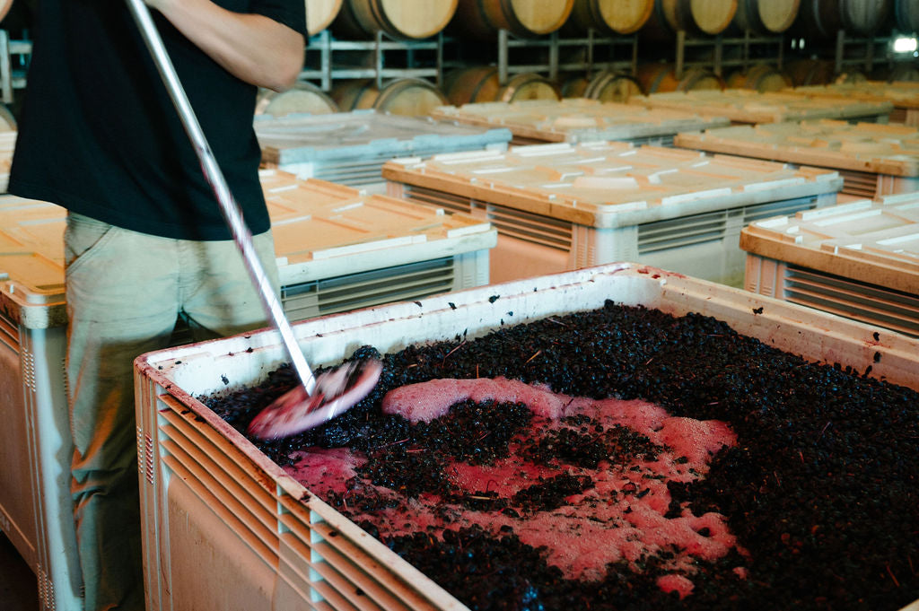 Ben punches down the cap of a fermenter of Organic Shiraz grapes in a winery setting
