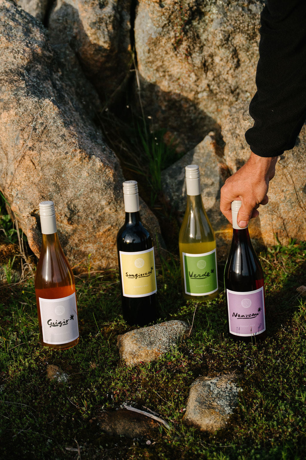 A person places four different bottles of Blind Corner Organic wine on a moss covered ground at sunset
