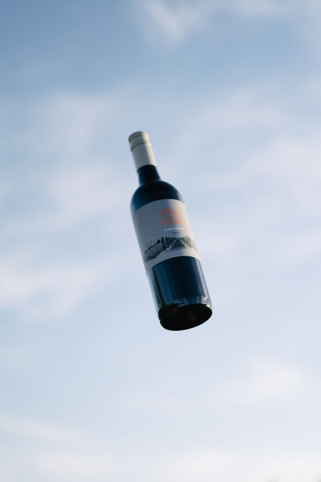 Bottle of Blind Corner Organic Cabernet against the sky