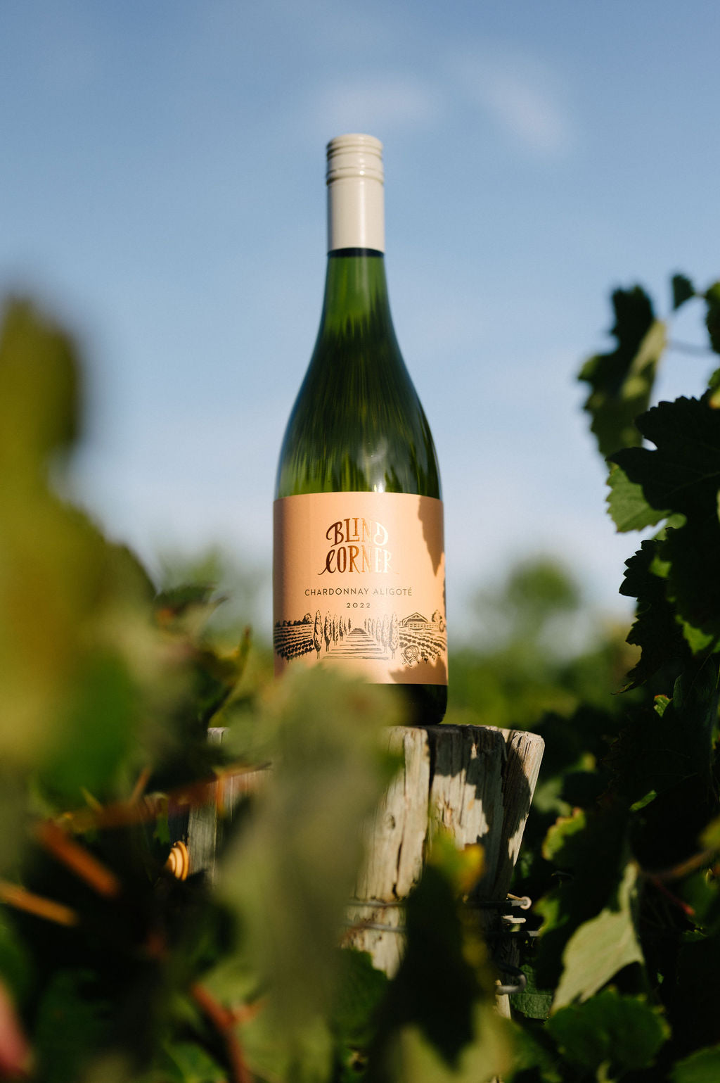 Blind Corner Organic Chardonnay Aligote Natural Clean Wine Margaret River