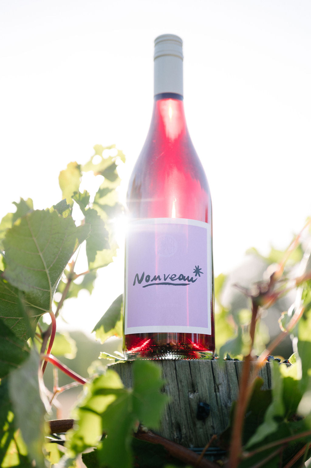 Blind Corner Organic and Biodynamic Margaret River Nouveau on a fence post, nestled amongst the vines