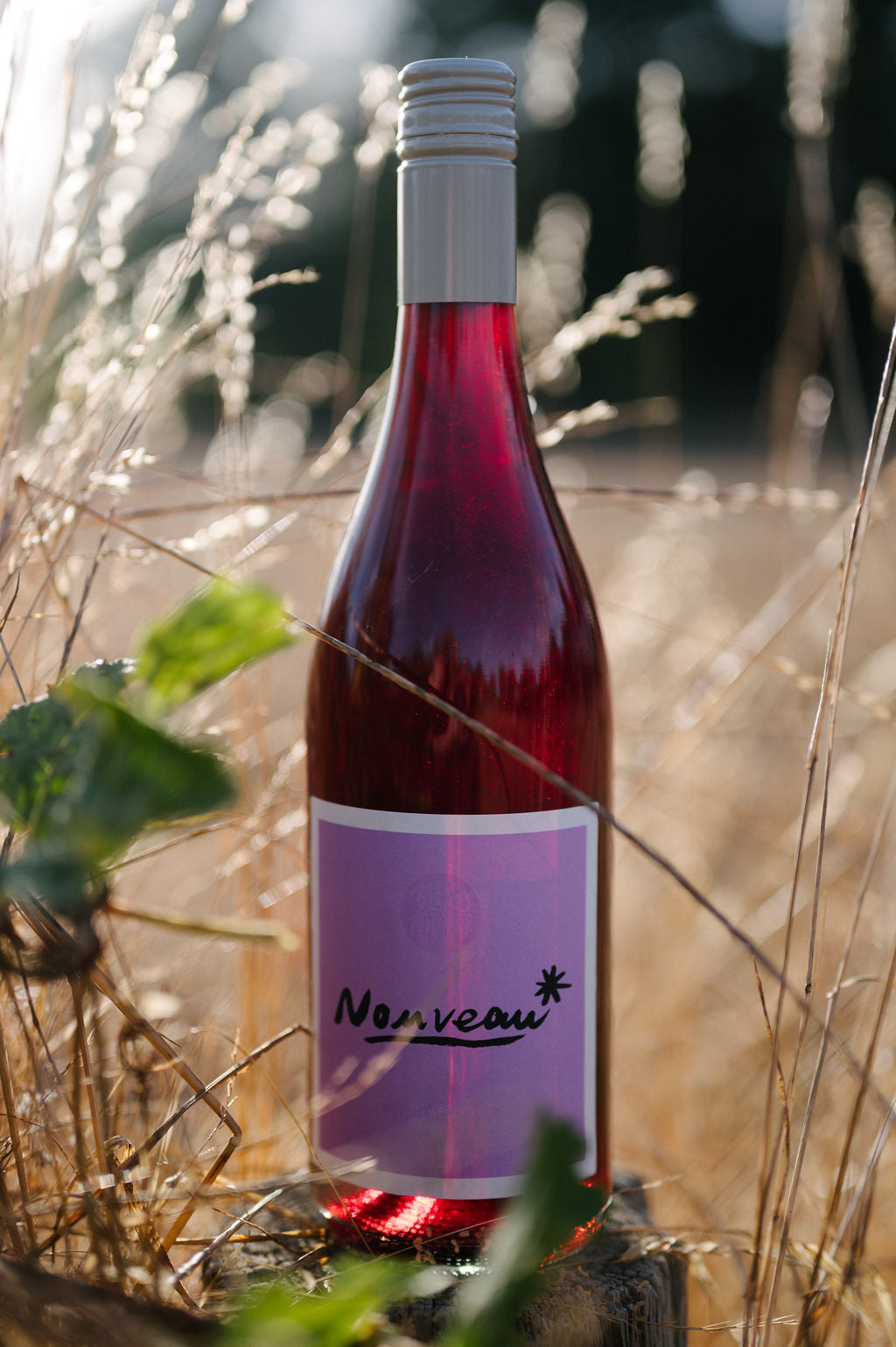 Blind Corner Organic and Biodynamic Margaret River Nouveau amongst the long, dry grass