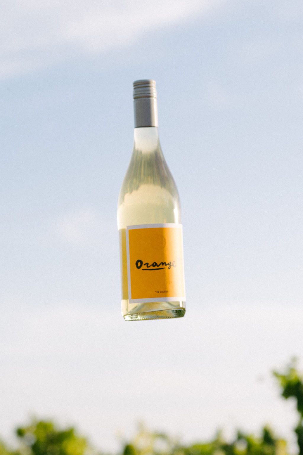 Blind Corner Organic and Biodynamic Margaret River Orange* in Colour Skin Contact Blend against the sky