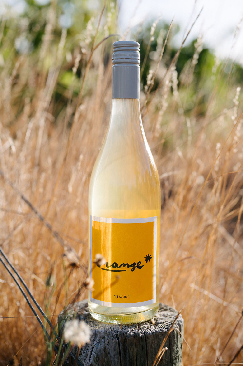 Blind Corner Organic and Biodynamic Margaret River Orange* in Colour Skin Contact Blend sits on a fence post amongst long,dry grass