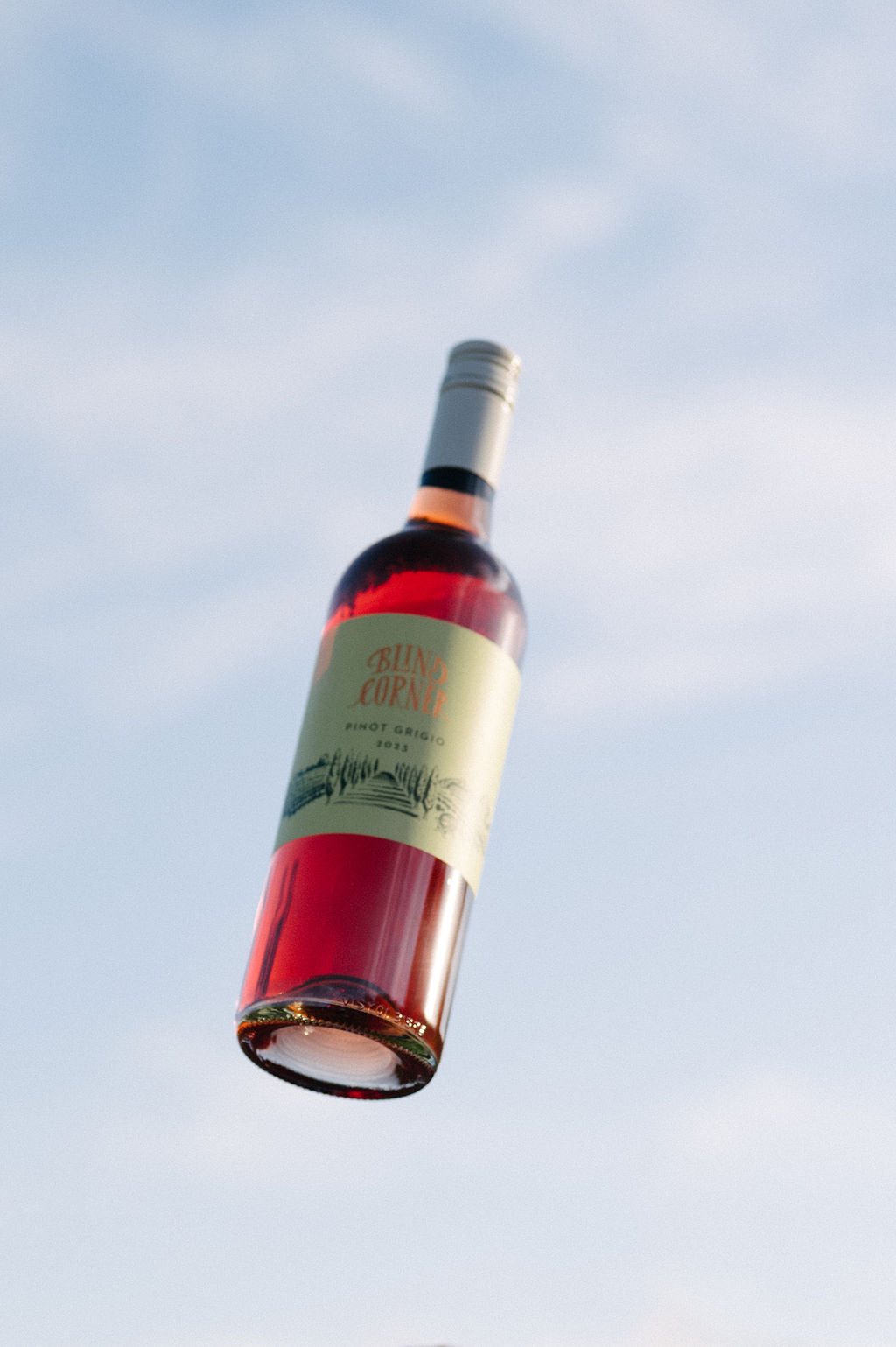 Blind Corner Organic and Biodynamic Margaret River Pinot Grigio against the sky