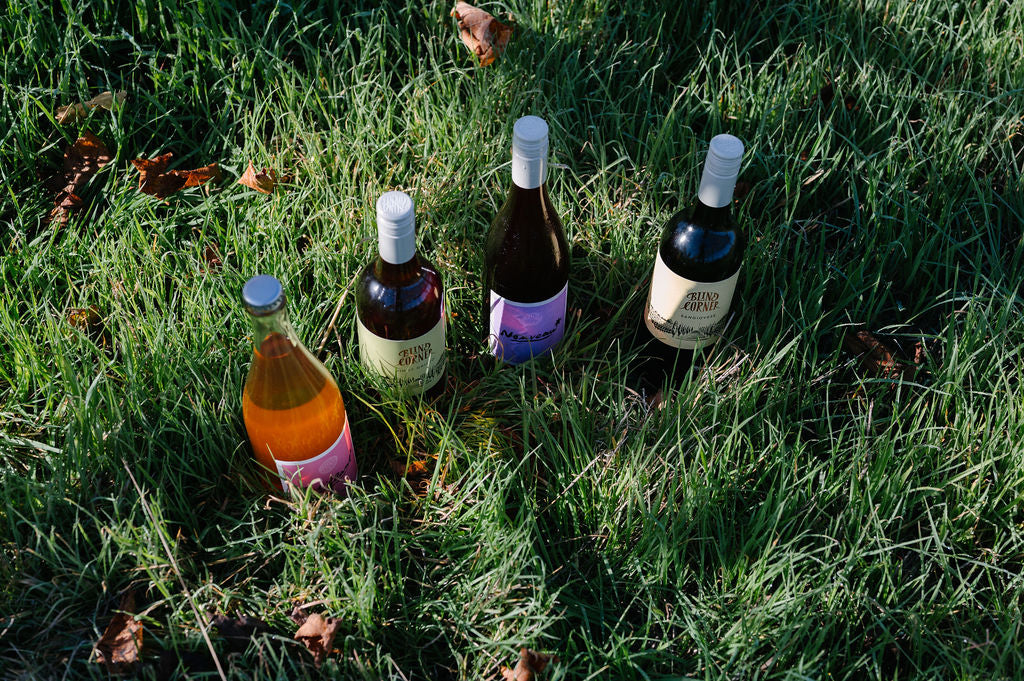 Five wine bottles of different colors and brands on grass