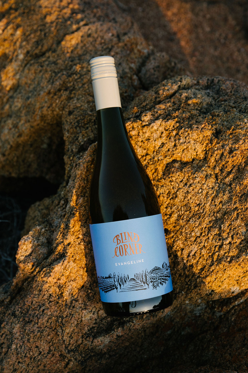 Wine bottle with a blue label on a textured stone surface