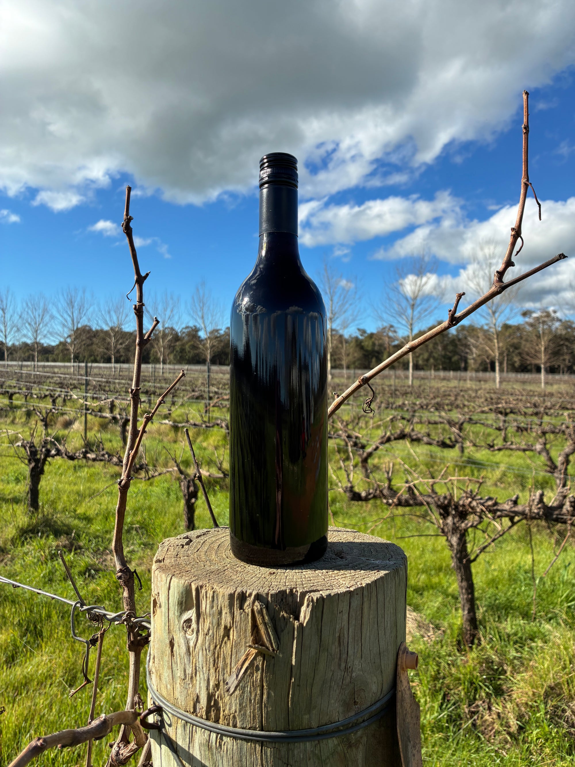 Blind Corner Organic Cabernet Merlot Cleanskin Special