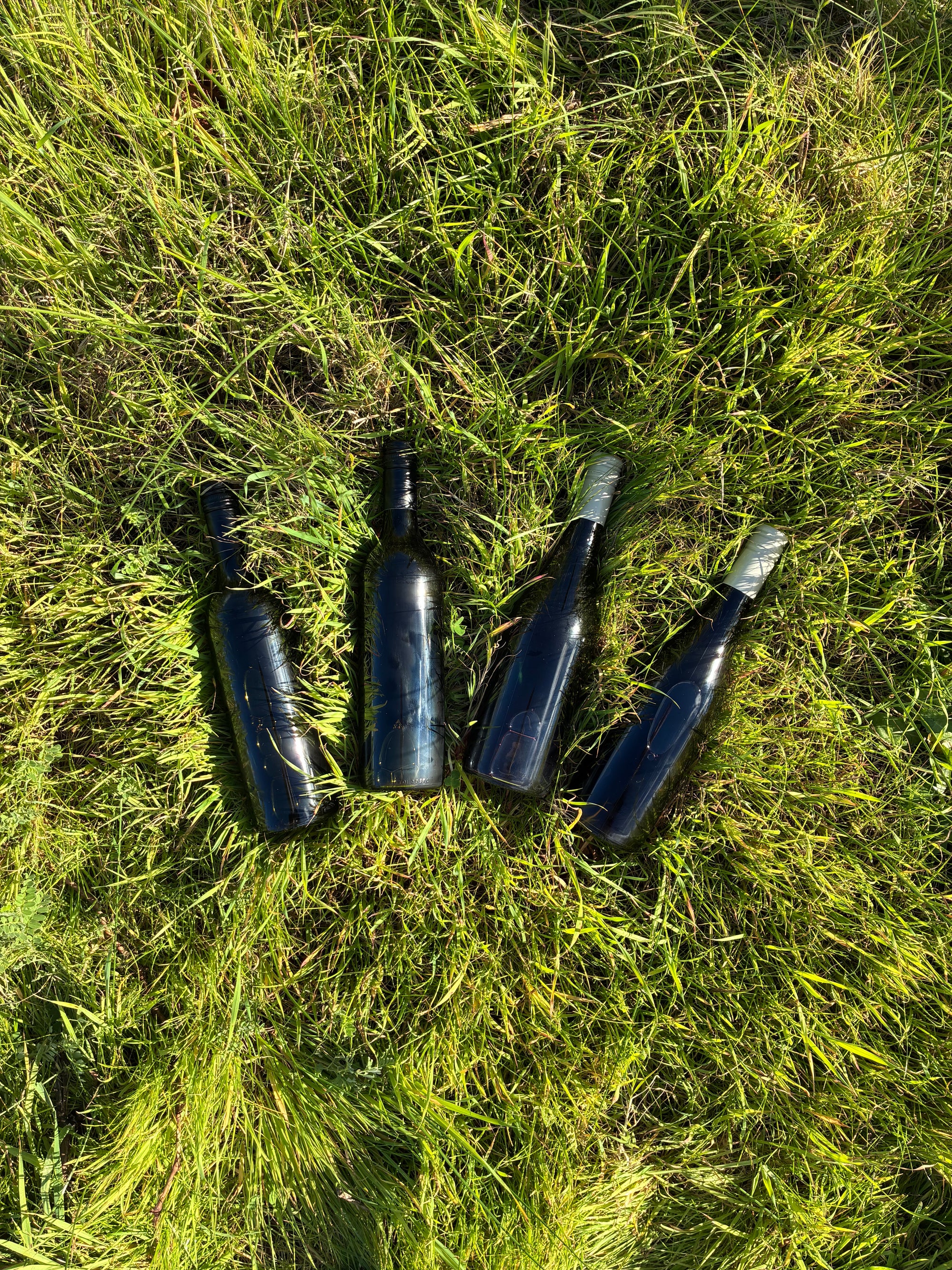 Blind Corner Organic Shiraz Cleanskin Special