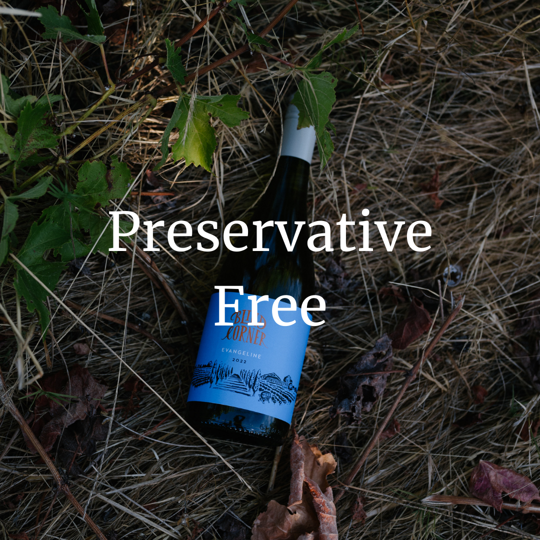 Bottle of wine with a blue label on dry grass, text 'Preservative Free' overlayed.